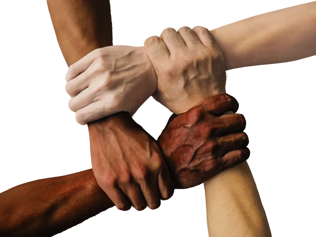 Diversiteit, gelijkwaardigheid en inclusie